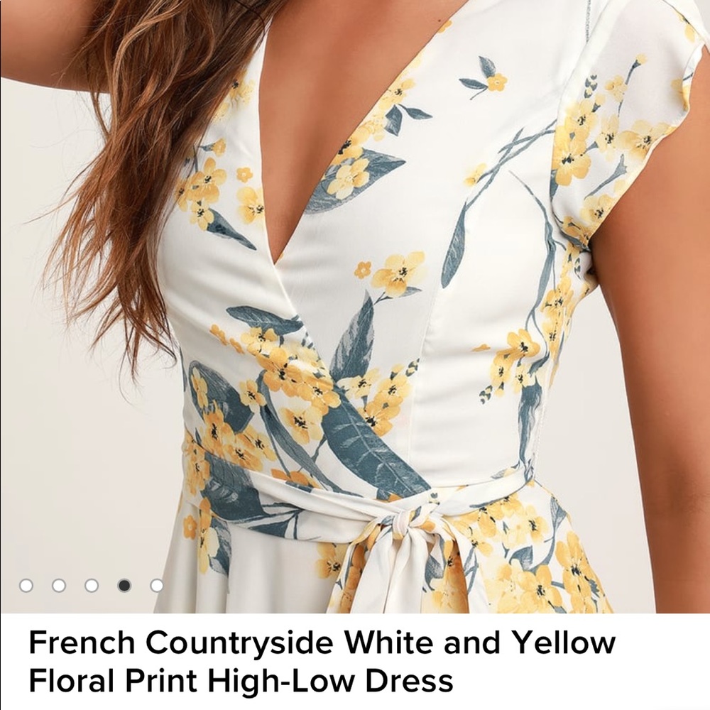 Lulus NWT French Countryside dress